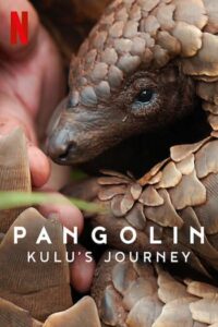 ดูหนัง การเดินทางของคูลู (2025) Pangolin Kulu’s Journey